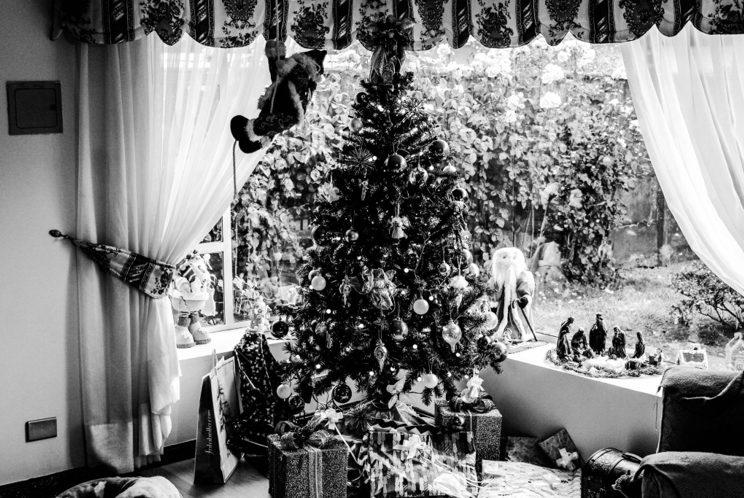 Choosing The Perfect Christmas Tree For Your Holiday Celebrations